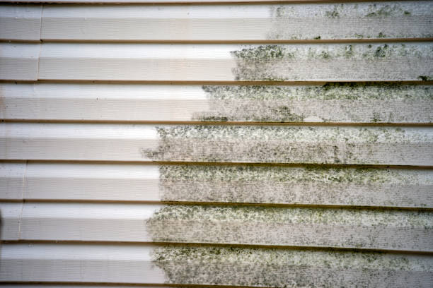Best Hoarding Cleanup  in Punta Gorda, FL
